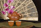 Free Chinese Teapot And Antique Fan Horizontal Stock Photo - 8984590