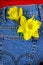 Free Spring In My Pocket Stock Photos - 8985953