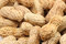 Free Peanuts Stock Photo - 8990110