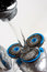 Free Macro Of Shaver Head Under Tap Royalty Free Stock Image - 8993576