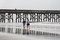 Free Walking On Beach Royalty Free Stock Photos - 8997168
