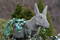 Free Donkey Royalty Free Stock Photo - 93955