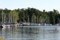 Free Sailboats In Harbor Stock Images - 900924