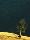 Free Solitude Stock Images - 904464