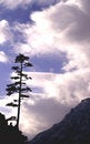 Free Solitude Royalty Free Stock Photo - 904475