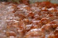 Free Steaming Meat Stock Images - 908504