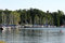 Free Sailboats In Harbor Stock Images - 900924