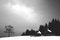 Free Dark Winter Royalty Free Stock Photos - 904398