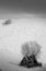 Free Dark Winter Stock Photos - 904403