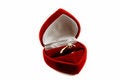 Free Diamond Ring In Fancy Box Royalty Free Stock Photo - 9005745