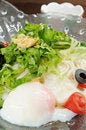 Free Salad Stock Images - 9009044