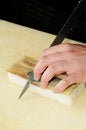 Free Cut Sushi Stock Images - 9009214
