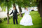 Free Kiss Of Bride And Groom Royalty Free Stock Photos - 9000308