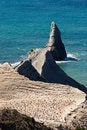 Free Gannet 07 Stock Photo - 9013930