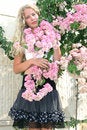 Free Blond Girl Royalty Free Stock Images - 9027519