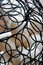 Free Egg Basket Royalty Free Stock Images - 9023619