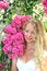 Free Blond Girl Royalty Free Stock Images - 9027449
