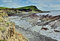 Free Kimmeridge Bay Royalty Free Stock Photo - 9036045