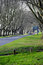 Free Avenue Of Trees Stock Photos - 9036233