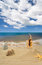 Free Landscape With Seashell And Stones On Background Royalty Free Stock Photo - 9039835