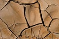 Free Cracked Soil Royalty Free Stock Photography - 9045417