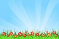 Free Summer Theme Stock Photo - 9047350