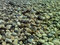 Free Stones On The Bank Of Black Sea Stock Photos - 9046383