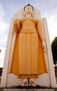 Free Standing Buddha Image Stock Photography - 9052822
