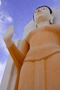 Free Standing Buddha Image Royalty Free Stock Image - 9052906