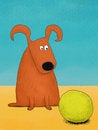 Free Red Dog With Green Ball Royalty Free Stock Photos - 9054268