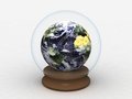 Free Earth In A Glass Globe Stock Image - 9069231