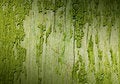 Free Green Dirty Material Royalty Free Stock Photography - 9069277