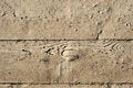 Free Grey Wood Floor Royalty Free Stock Image - 9069886