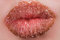 Free Sweet Lips Royalty Free Stock Image - 9064076
