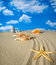 Free Landscape With Seashell And Stones On Sky Royalty Free Stock Image - 9071046