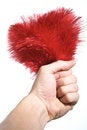 Free Cleaning Dust Royalty Free Stock Photos - 9080648