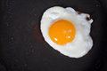 Free Sunny Side Up Fried Egg Royalty Free Stock Photos - 9080708