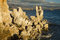 Free Mono Lake Stock Images - 9082944
