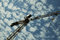 Free Sky And Steel Royalty Free Stock Photos - 9083578