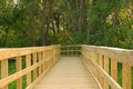 Free Wooden Path Stock Images - 913874