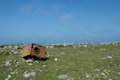 Free Rusty Junk On Grass Royalty Free Stock Photos - 914838
