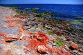 Free Black Sea Shore In Colors 1 Royalty Free Stock Photos - 915928