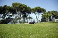 Free Man Lie On The Grass Stock Image - 919151