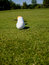 Free The Line Of Life (flat Perspective) Stock Photography - 915552