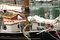 Free Sailboat Close-Up Royalty Free Stock Photography - 916707