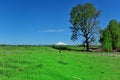 Free Field With Distant Mountain Royalty Free Stock Photo - 9157815