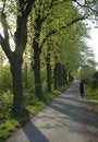 Free Running In The Evening Stock Photos - 922013