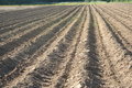 Free Waiting To Grow Stock Photography - 926182