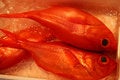 Free Red Snapper Royalty Free Stock Photography - 928027