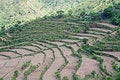 Free Step Farming In The Mountains Stock Photos - 929673